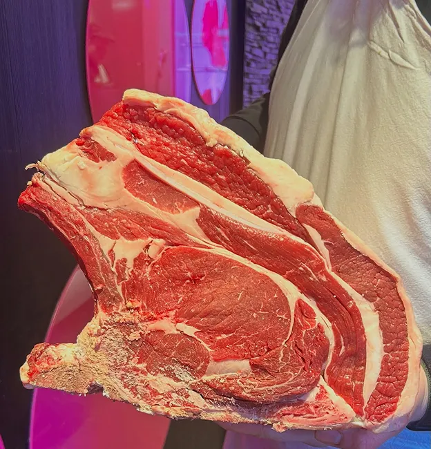 Gros plan d'un morceau de côte de bœuf crue sur l'os, tenue à Palaiseau en Essonne 91