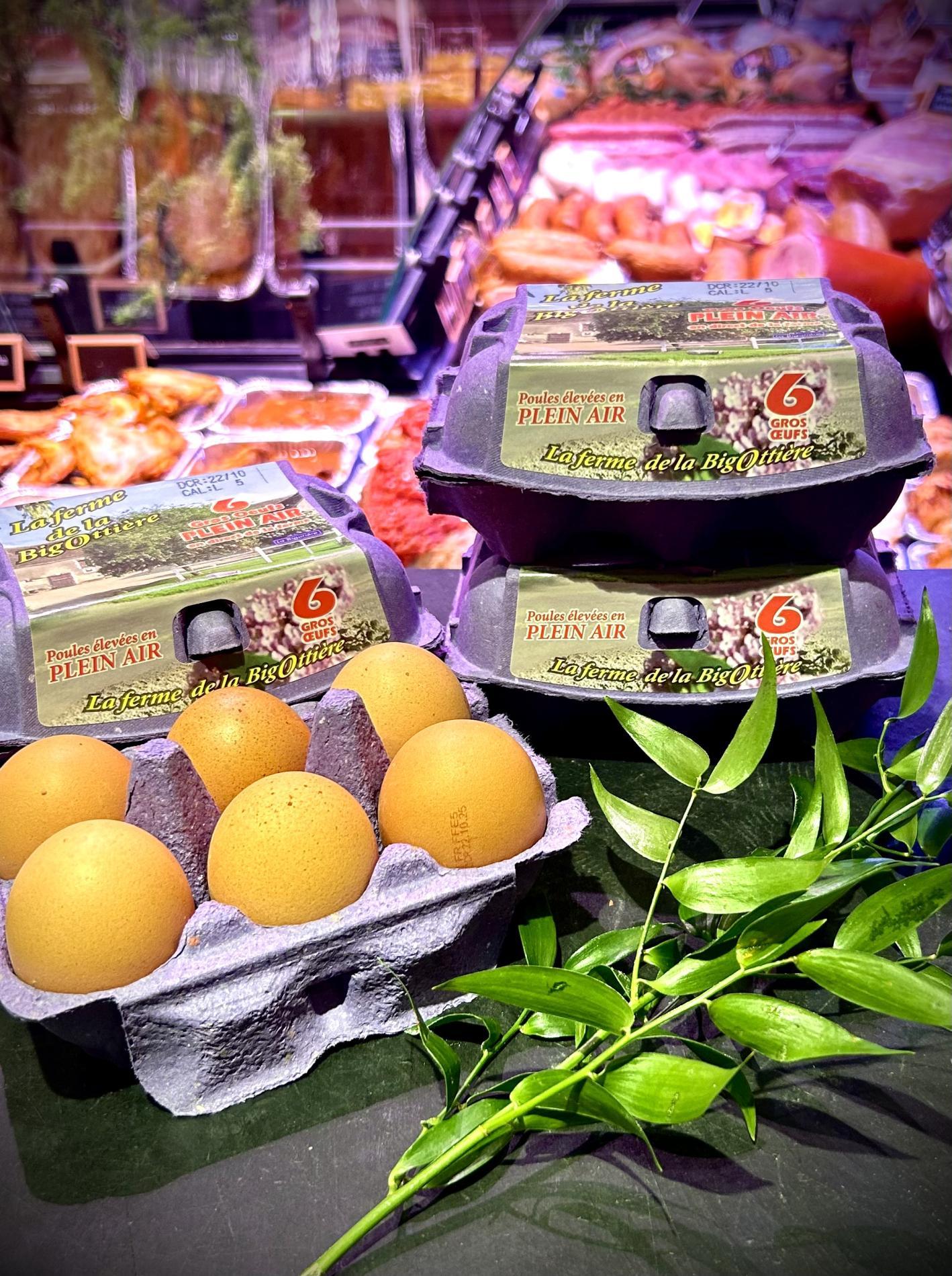 Boîte de 6 oeufs